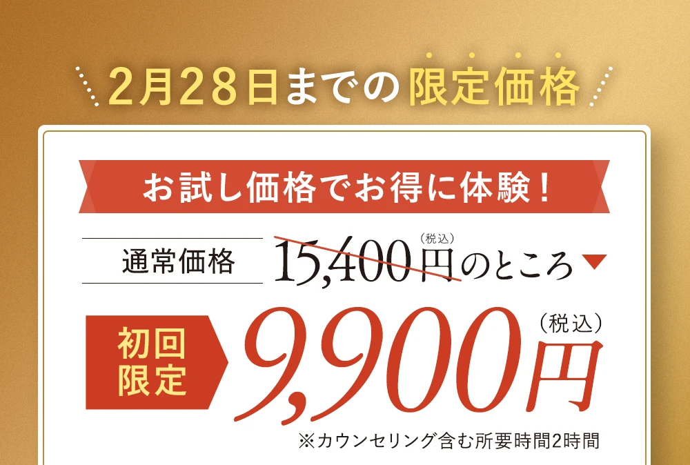 2月28日までの限定価格